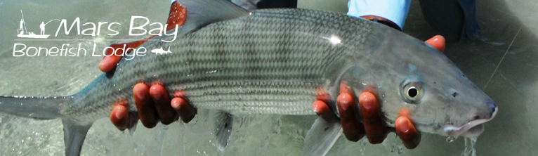All-Inclusive Rates for Mars Bay Bonefish Lodge, Da Bay Area Bahamas