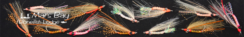 Bonefish fly patterns including Gotcha, Fitz, and shrimp flies from Mars Bay Bonefish Lodge