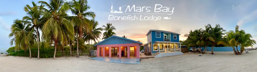 Panoramic seaside view of Mars Bay Bonefish Lodge showing the entire oceanfront property with guest buildings, palm trees, and tropical gardens.